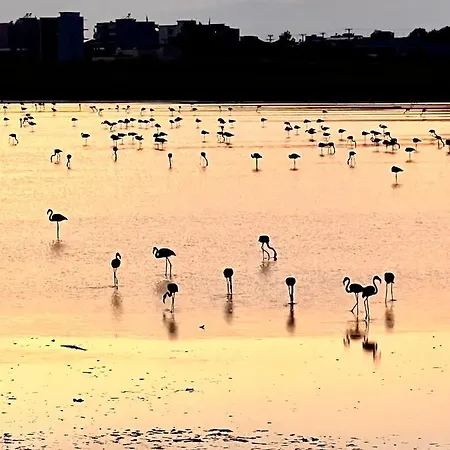 Adi Boutique House Bed & Breakfast