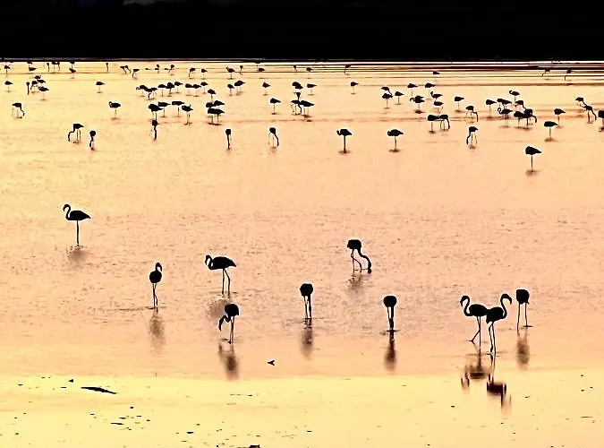 Adi Boutique House Alojamento de Acomodação e Pequeno-almoço